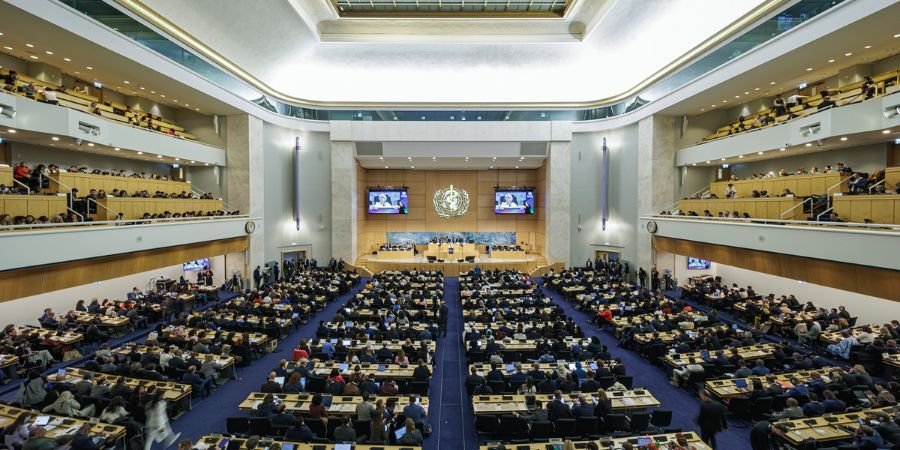 European Parliament at the WHO: What Happened at the 79th World Health Assembly