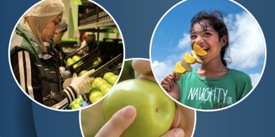Food Safety