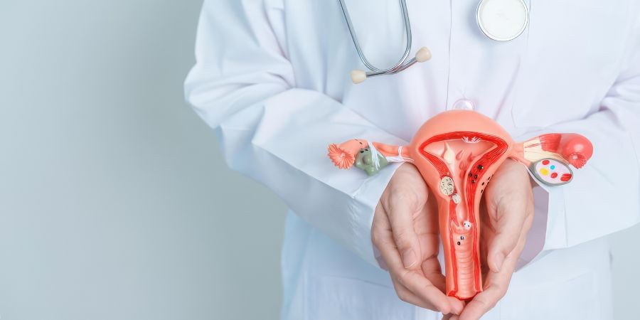 Fallopian Tubes